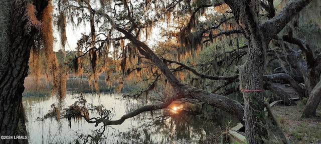 water view