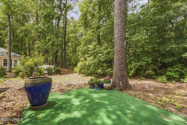 15 Indigo Run Dr Unit 8, Hilton Head Island, SC 29926 - photo 39