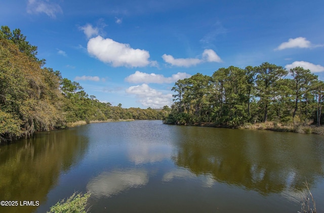 15 Whitners Landing Rd, Saint Helena Island, SC 29920