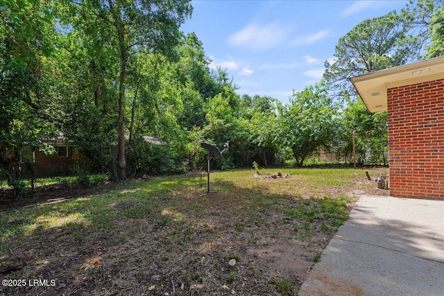 1803 Sixth St, Beaufort, SC 29902 - view of yard