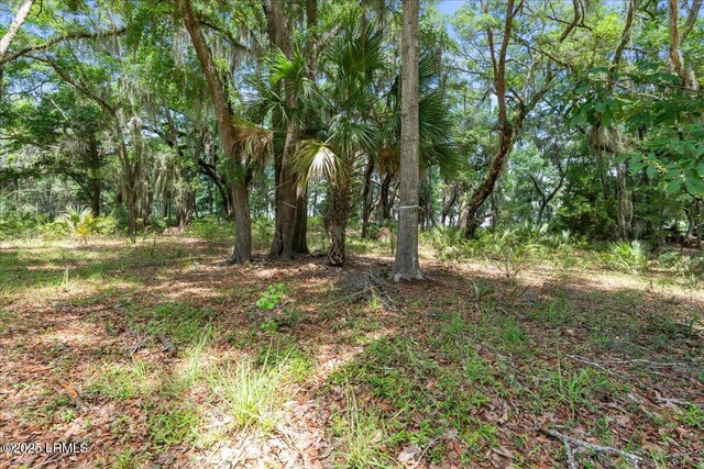 226 Old Plantation Dr W, Beaufort, SC 29907 - photo 14