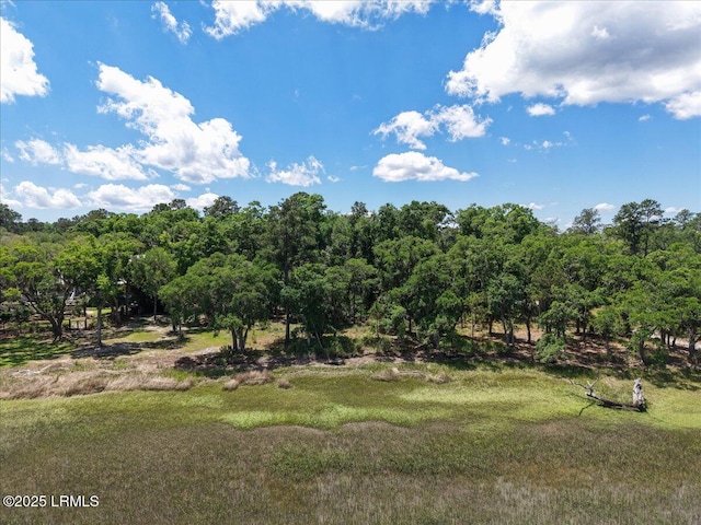 226 Old Plantation Dr W, Beaufort, SC 29907 - photo 3