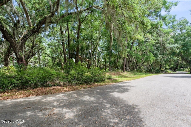 226 Old Plantation Dr W, Beaufort, SC 29907 - photo 13