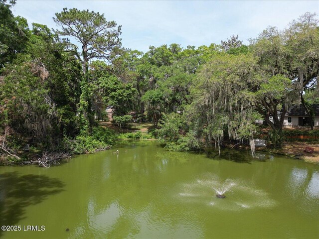 2021 Lafayette St, Beaufort, SC 29902 - photo 21