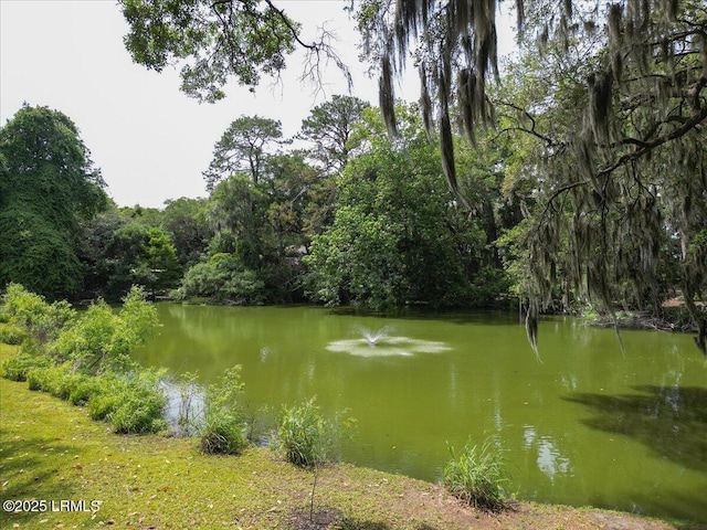 2021 Lafayette St, Beaufort, SC 29902 - photo 16