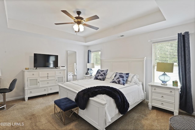 2110 River Rock Way, Beaufort, SC 29902 - bedroom with a raised ceiling, carpet floors, and a ceiling fan