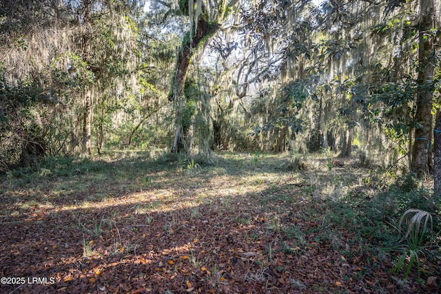 10 Long Pond Dr, Beaufort SC, 29907 land for sale