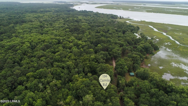 136 Carvin Rd, Daufuskie Island SC, 29915 land for sale