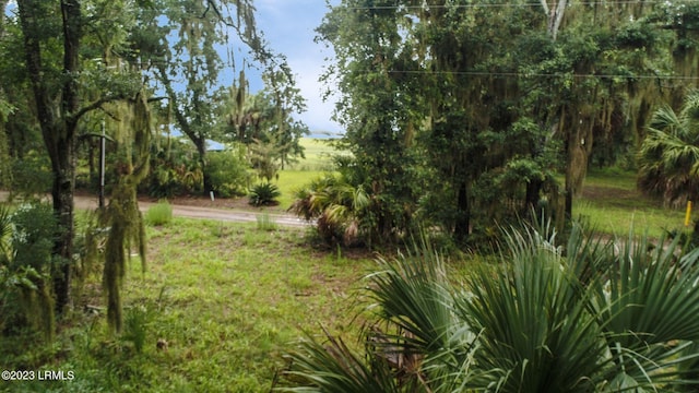 Listing photo 2 for 136 Carvin Rd, Daufuskie Island SC 29915