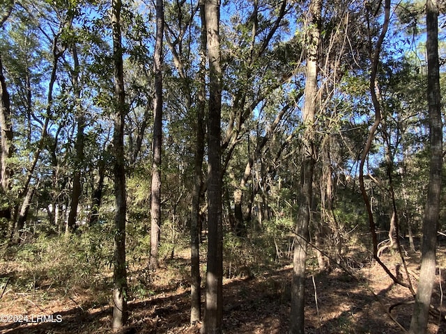 Listing photo 3 for 29 Capers Island Cir, Saint Helena Island SC 29920