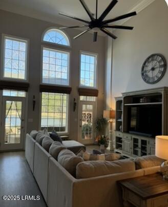 living area featuring crown molding, wood finished floors, a towering ceiling, and a healthy amount of sunlight