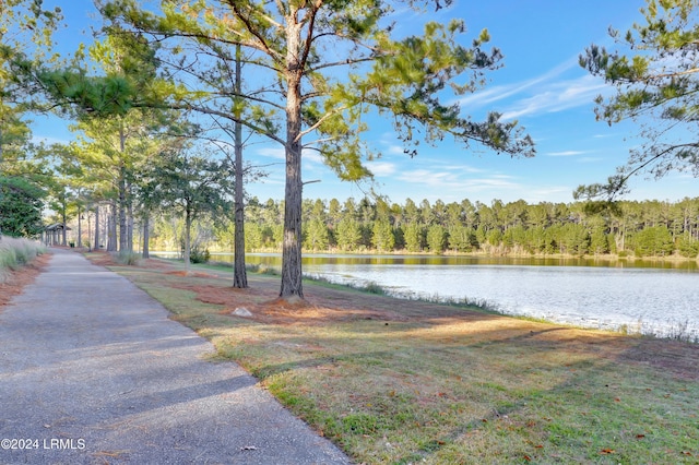 property view of water