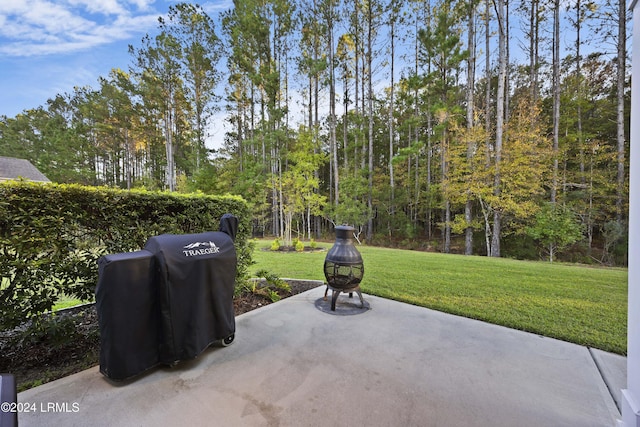 view of patio with grilling area and an outdoor fire pit