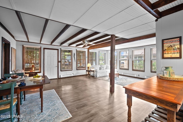 20 Trout St, Bluffton, SC 29910 - sunroom / solarium with a healthy amount of sunlight, baseboard heating, a baseboard heating unit, and beam ceiling