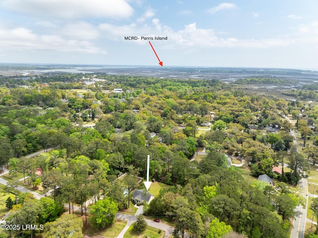 3010 Palmetto Ridge St, Beaufort, SC 29906 - drone / aerial view featuring a view of trees
