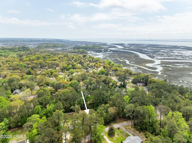 3010 Palmetto Ridge St, Beaufort, SC 29906 - bird's eye view featuring a water view