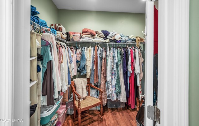 3010 Palmetto Ridge St, Beaufort, SC 29906 - spacious closet featuring wood finished floors