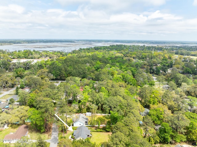 3010 Palmetto Ridge St, Beaufort, SC 29906 - drone / aerial view with a view of trees and a water view