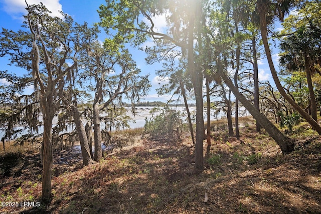 2009 Bluff Villas Rd, Saint Helena Island, SC 29920 - view of nature