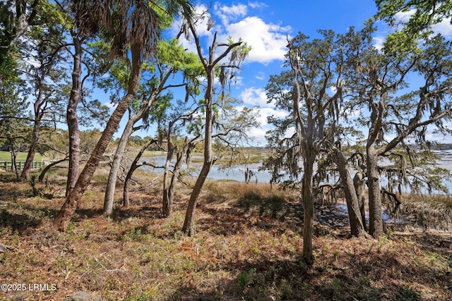 2009 Bluff Villas Rd, Saint Helena Island, SC 29920 - water view