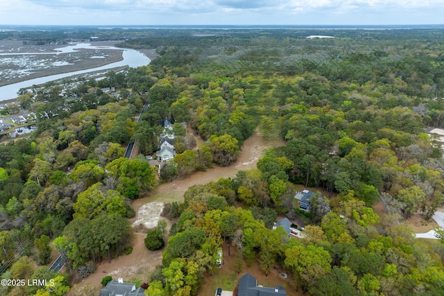 91 Middle Rd, Ladys Island, SC 29907 - photo 19