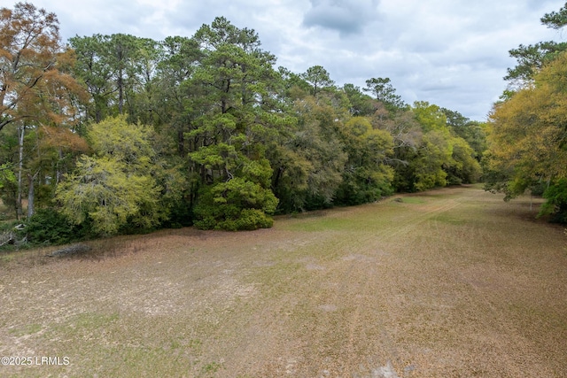 91 Middle Rd, Ladys Island, SC 29907 - photo 1