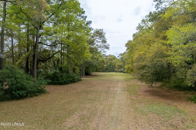 91 Middle Rd, Ladys Island, SC 29907 - photo 9