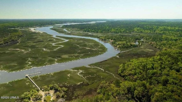 184 Twickenham Loop, Yemassee, SC 29945 - aerial view of property's location featuring a nearby body of water and a heavily wooded area