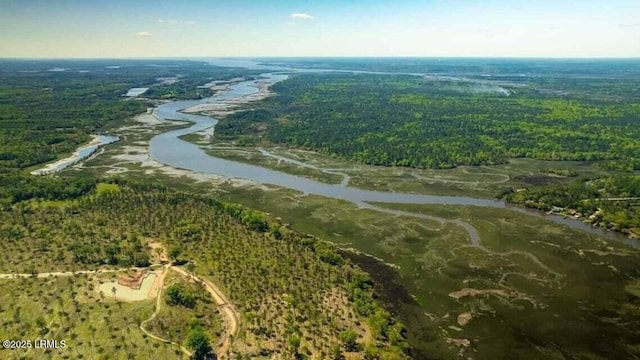 184 Twickenham Loop, Yemassee, SC 29945 - aerial view of property's location featuring a forest