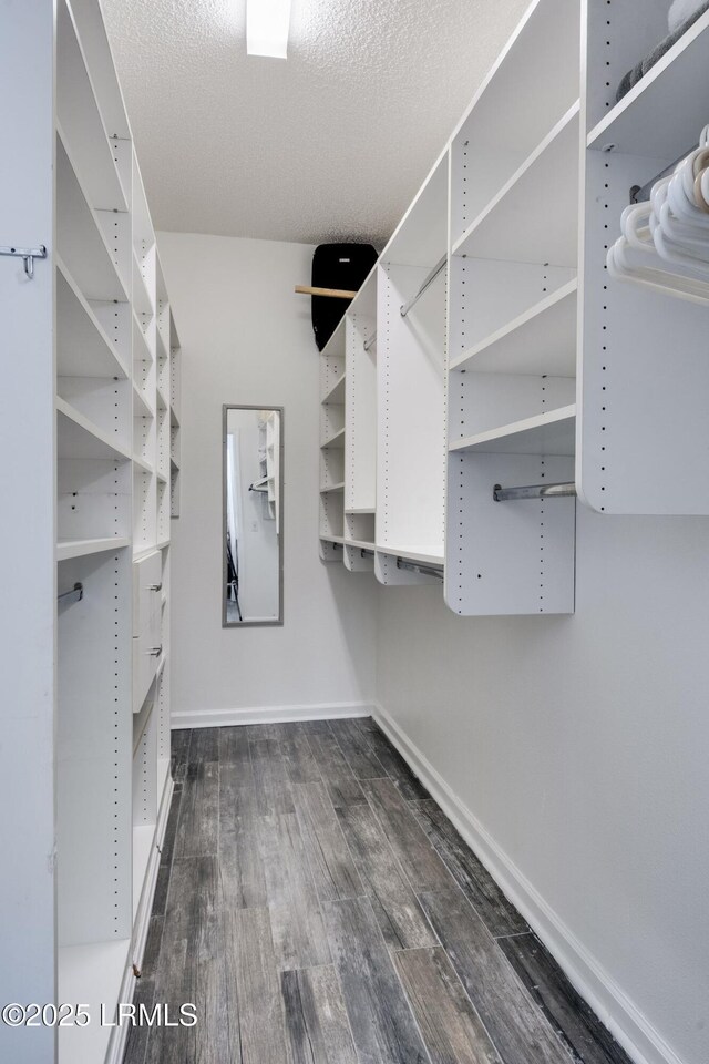 spacious closet with dark wood-type flooring