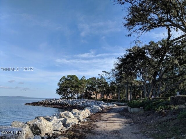 13 King Rail Ln, Hilton Head Island, SC 29926 - photo 47