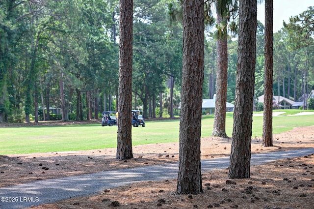 13 King Rail Ln, Hilton Head Island, SC 29926 - photo 28
