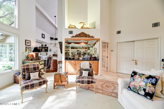 13 King Rail Ln, Hilton Head Island, SC 29926 - photo 11