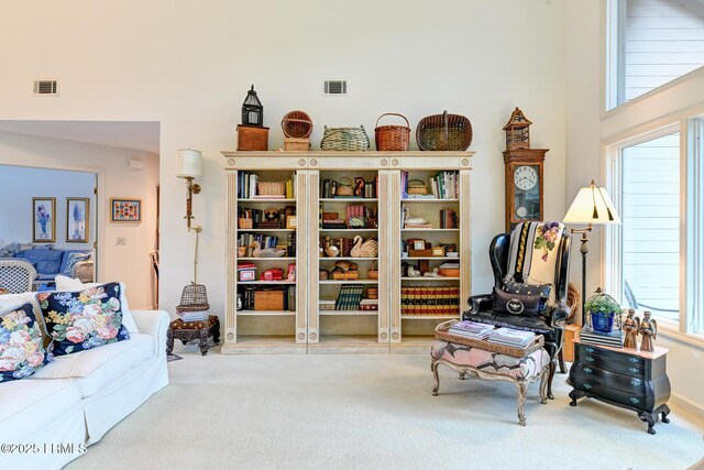 13 King Rail Ln, Hilton Head Island, SC 29926 - photo 10