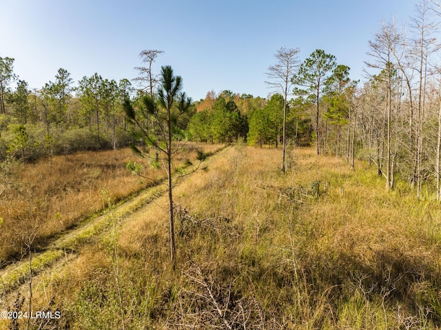 Listing photo 2 for TBD-A Pond Town Rd, Brunson SC 29911