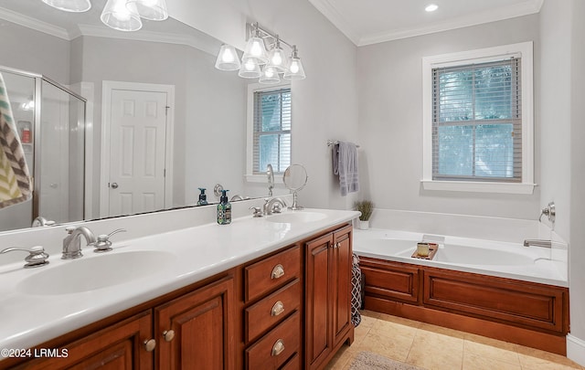 bathroom featuring ornamental molding, vanity, and a wealth of natural light