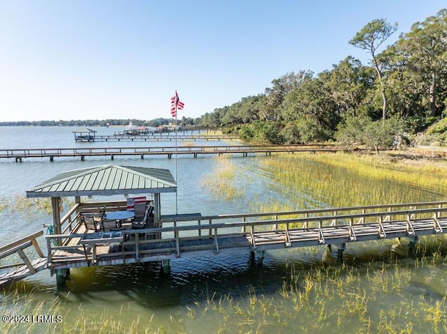 dock area with a water view