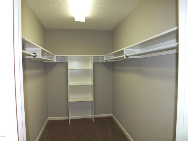 22 Ardmore Ave, Beaufort, SC 29907 - walk in closet featuring carpet floors