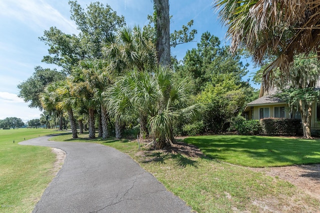 view of property's community with a lawn