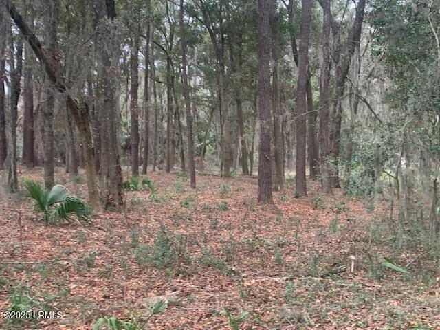 197 Meridian Rd, Beaufort, SC 29907 - photo 3