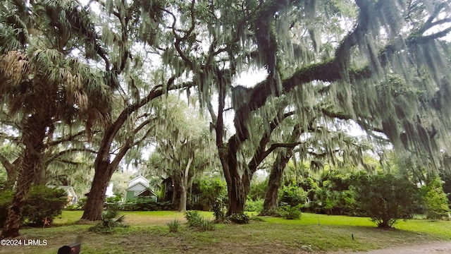 Listing photo 3 for 1106 11th St, Port Royal SC 29935