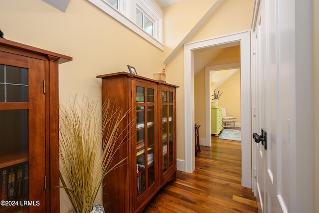 corridor with lofted ceiling and dark hardwood / wood-style flooring