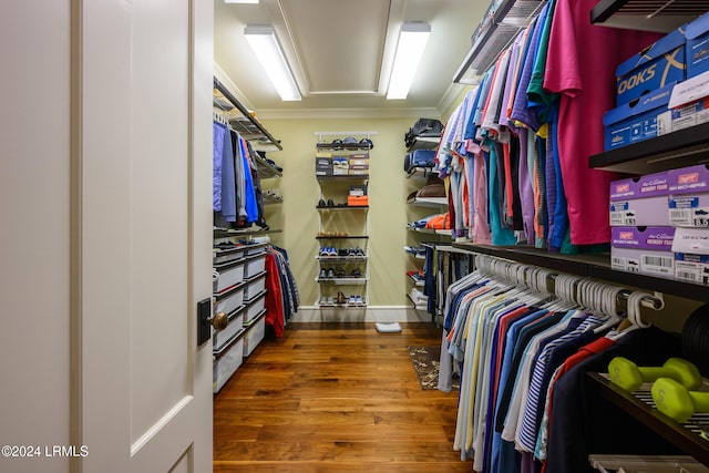 spacious closet featuring wood-type flooring