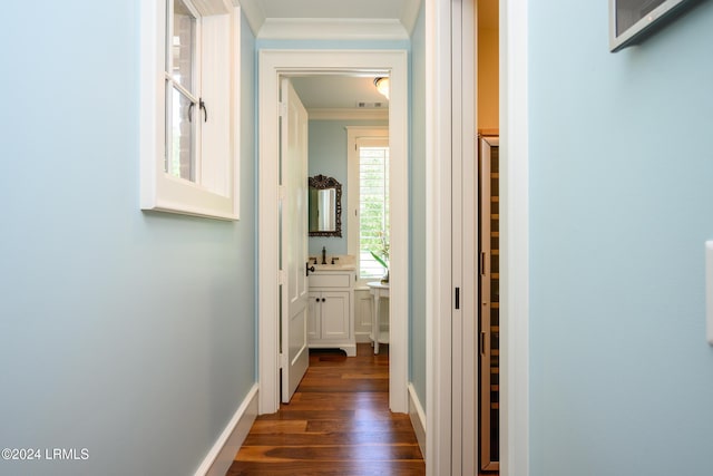 hall with crown molding, sink, and dark hardwood / wood-style flooring