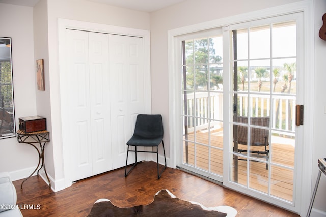 sitting room featuring hardwood / wood-style floors