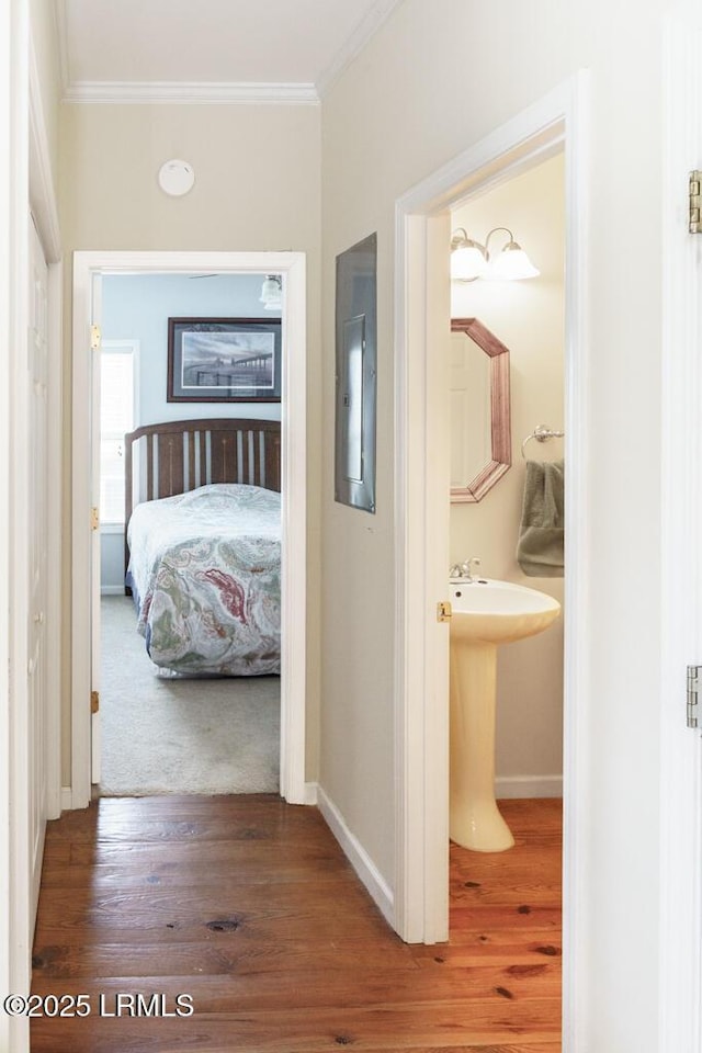 1003 9th St, Port Royal, SC 29935 - corridor with ornamental molding, electric panel, and wood finished floors