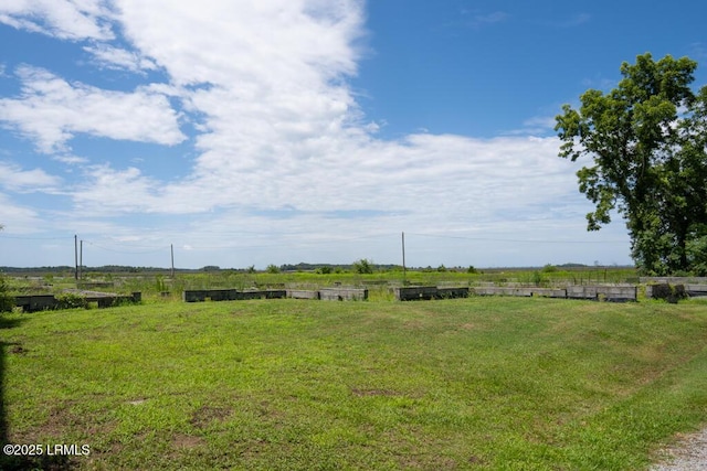 1003 9th St, Port Royal, SC 29935 - view of green lawn with a view of countryside