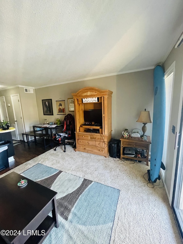 living room featuring dark colored carpet and a textured ceiling