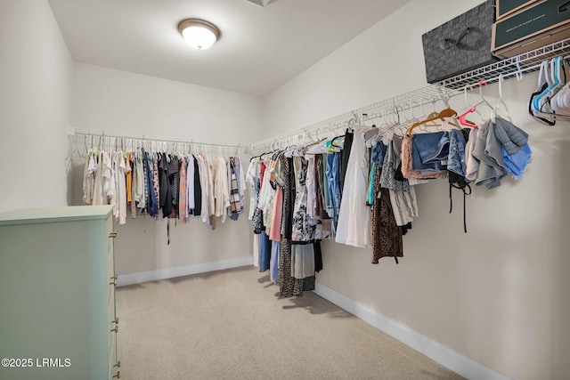 1216 Hearthstone Dr, Ridgeland, SC 29936 - walk in closet featuring carpet flooring