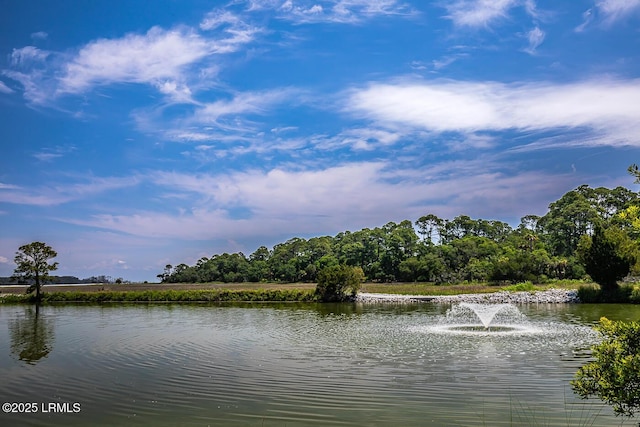 262 Deer Run Ln, Fripp Island, SC 29920 - water view